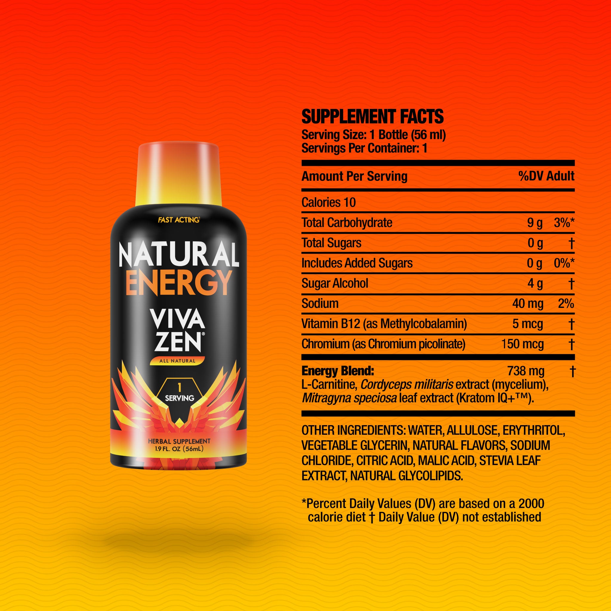 洋楽 999/high energy plan VIVAZEN® Natural Energy Shot | All-Natural Energy Drink for Focus